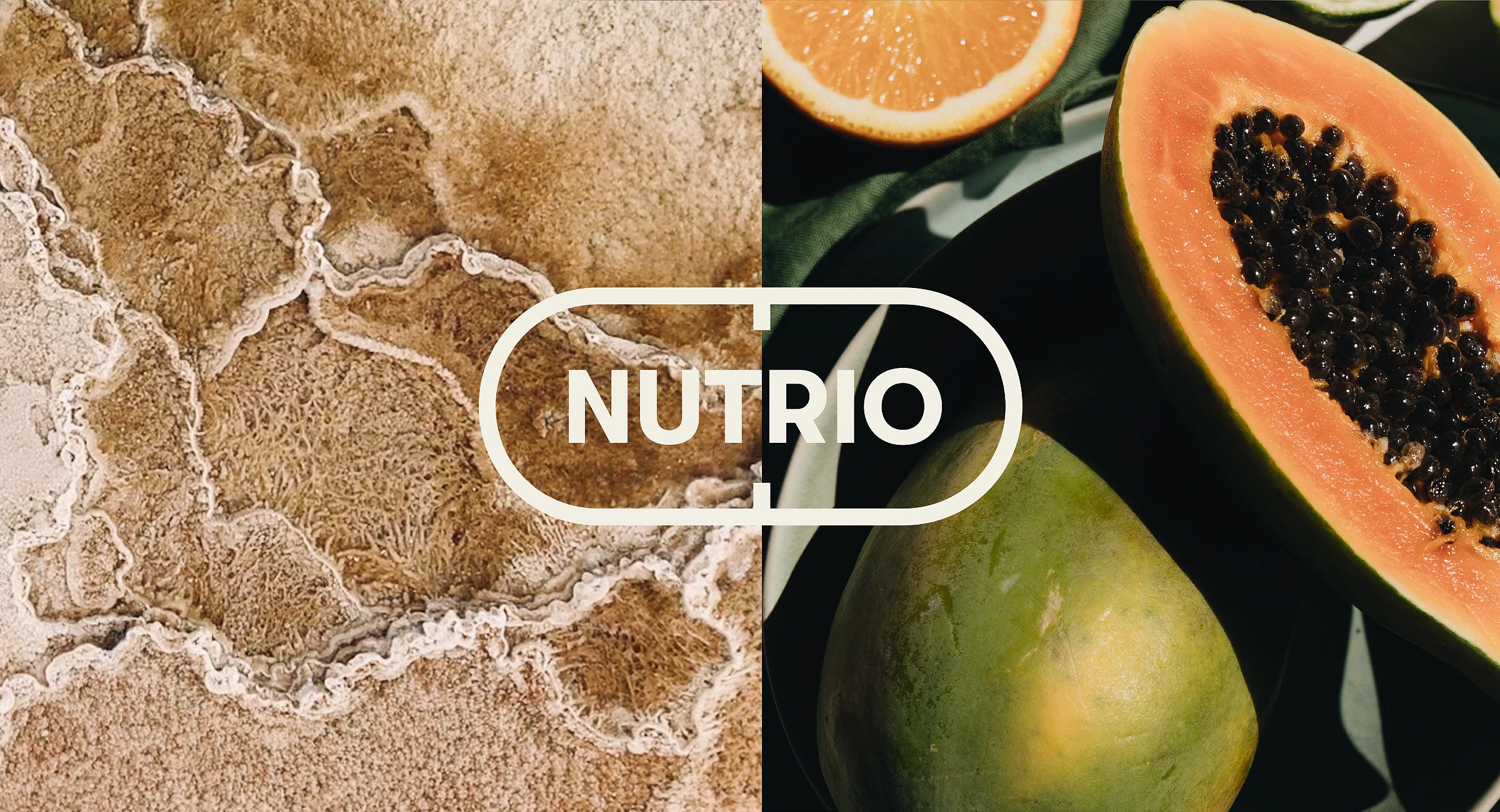 Nutrio